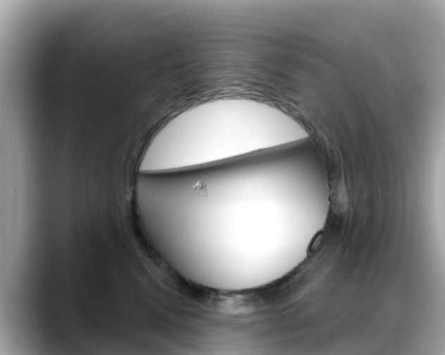 X0000088730472200705311119