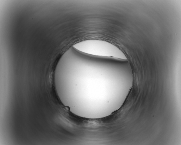 X0000088730475200705311119