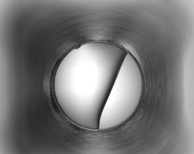 X0000088730482200705311118