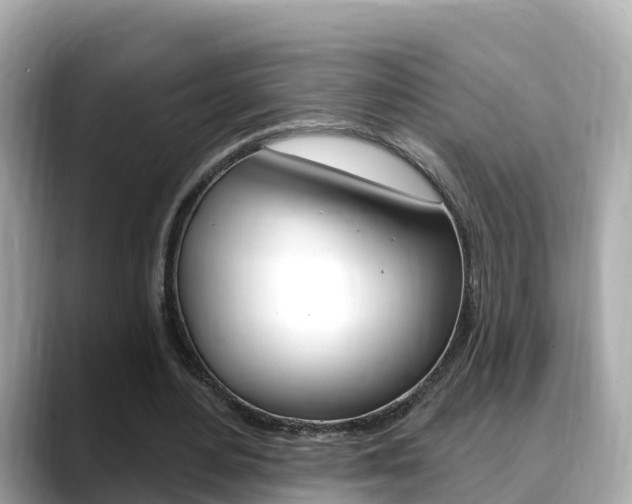 X0000088730484200705311118