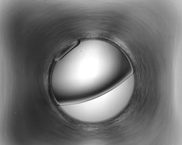 X0000088730485200705311118