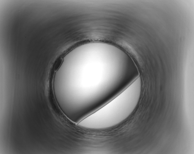X0000088730488200705311118