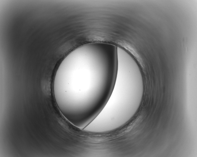 X0000088730489200705311118