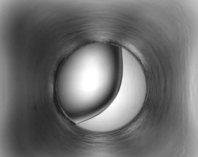 X0000088730493200705311118