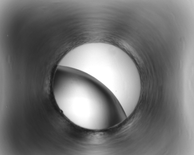 X0000088730497200705311118