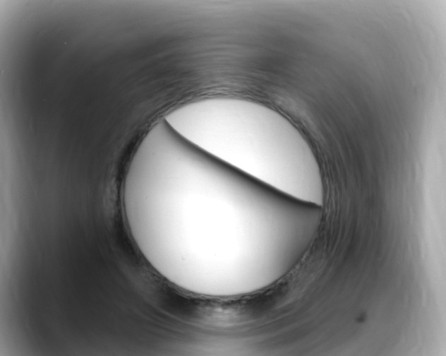 X0000088730498200705311118