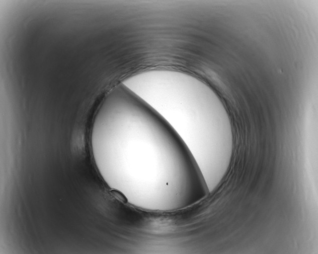 X0000088730500200705311118