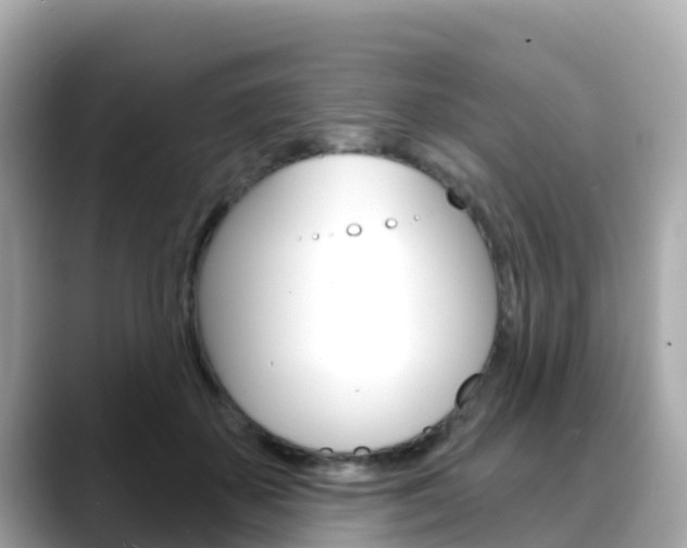 X0000088730507200705311118