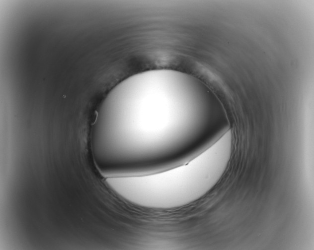 X0000088730509200705311118