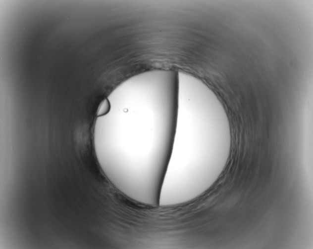 X0000088730511200705311118