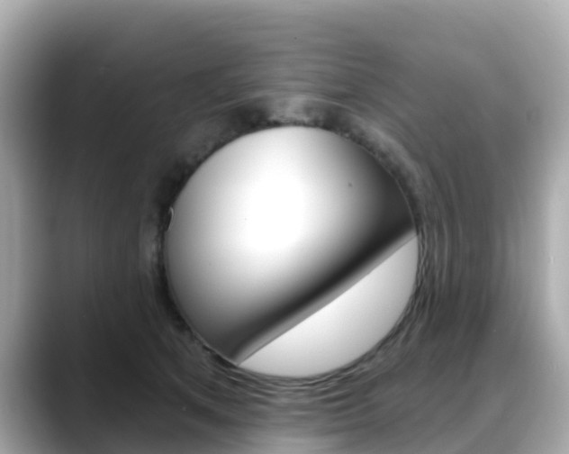 X0000088730513200705311118