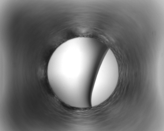 X0000088730515200705311118
