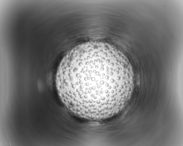X0000088730519200705311118
