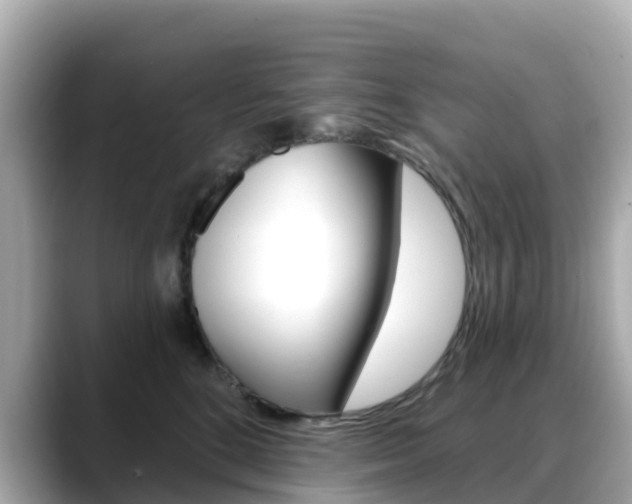X0000088730520200705311118