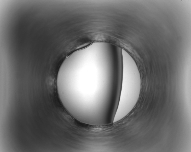 X0000088730521200705311118