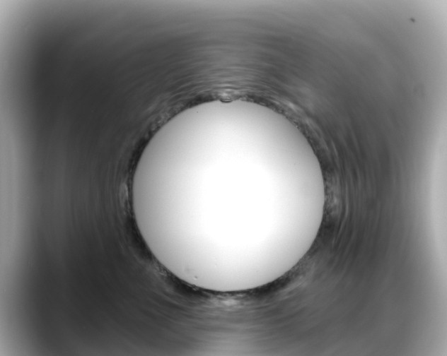 X0000088730523200705311118