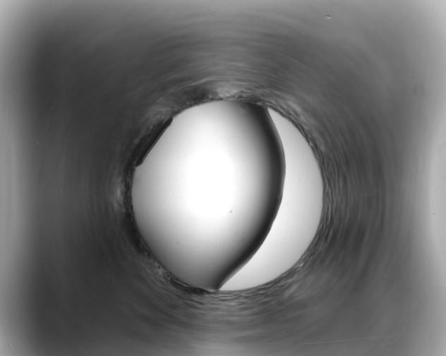 X0000088730524200705311118
