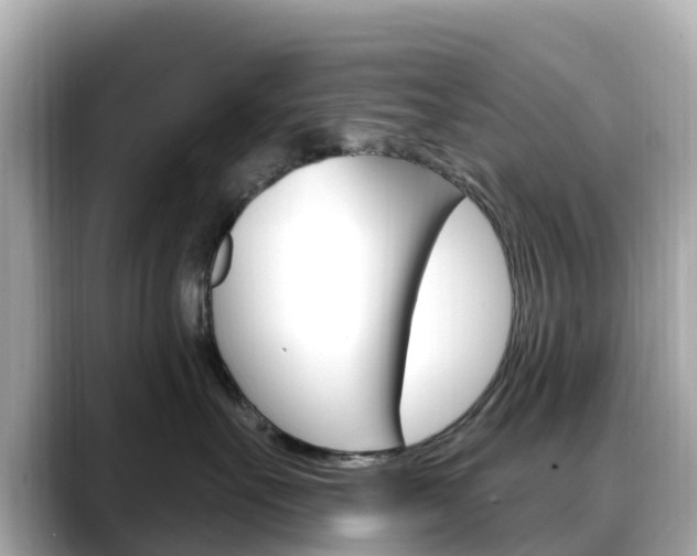 X0000088730527200705311118