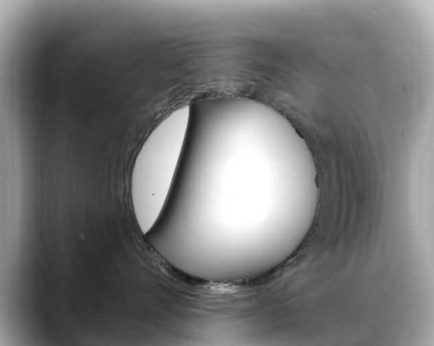 X0000088730528200705311118