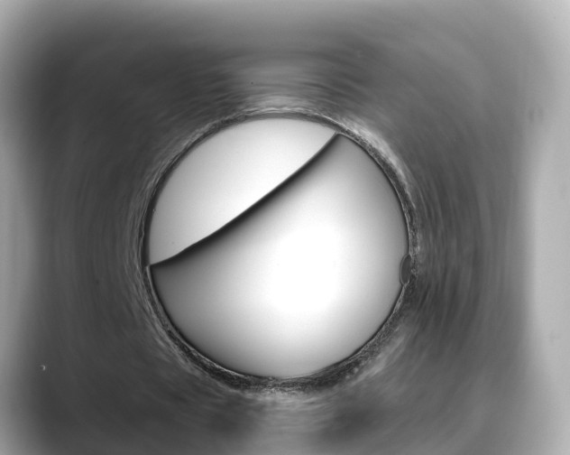 X0000088730529200705311117