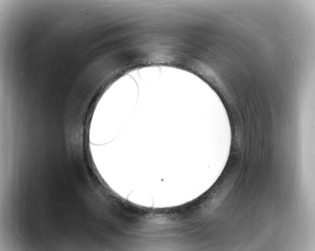 X0000088730534200705311117