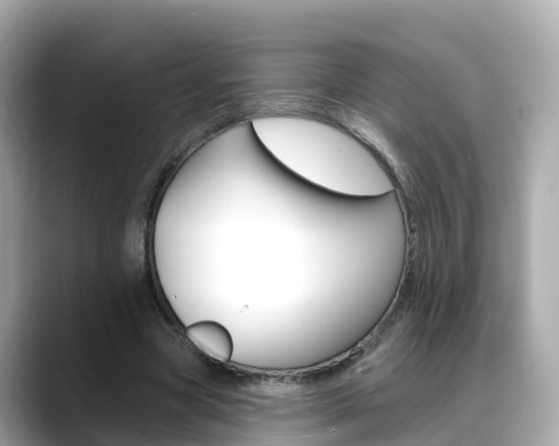 X0000088730537200705311117