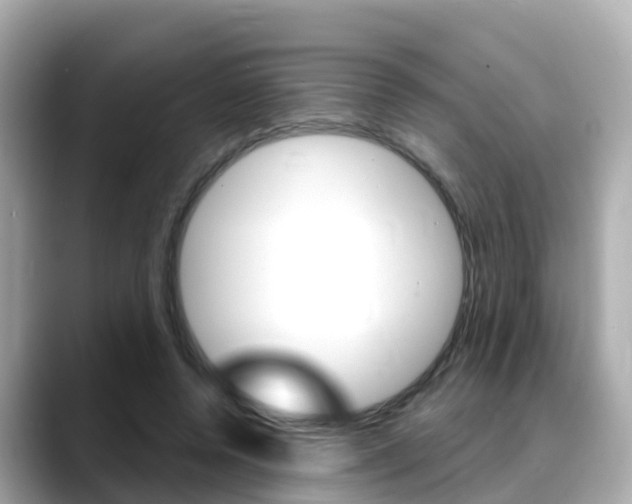 X0000088730544200705311117