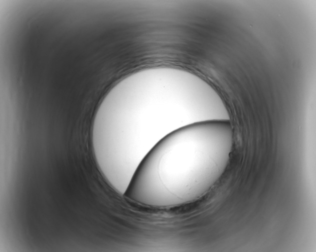 X0000088730551200705311117