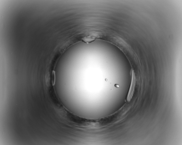 X0000088730552200705311117
