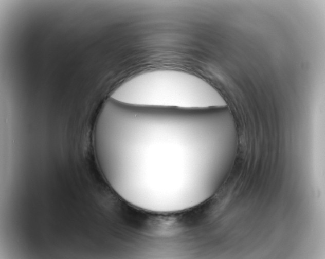 X0000088730554200705311117