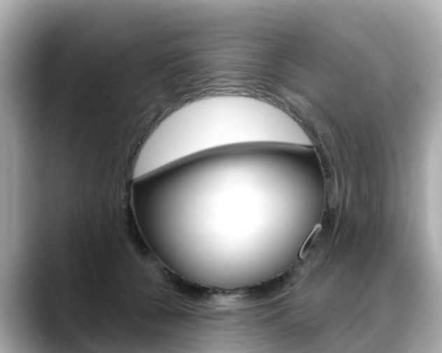 X0000088730560200705311117