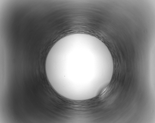 X0000088730562200705311117