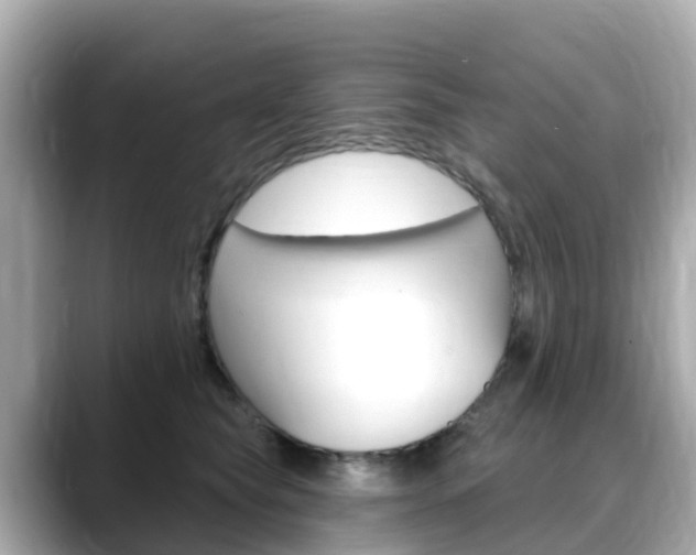 X0000088730565200705311117