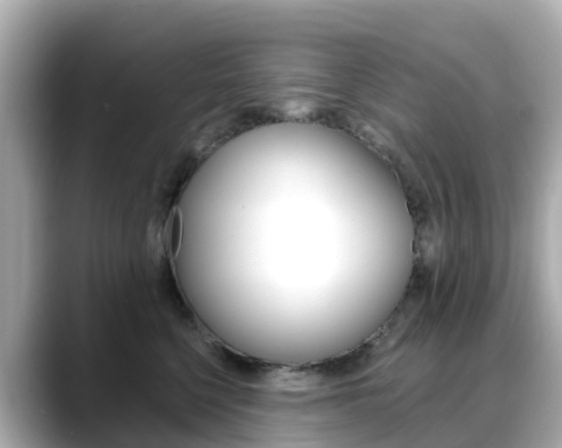 X0000088730568200705311117
