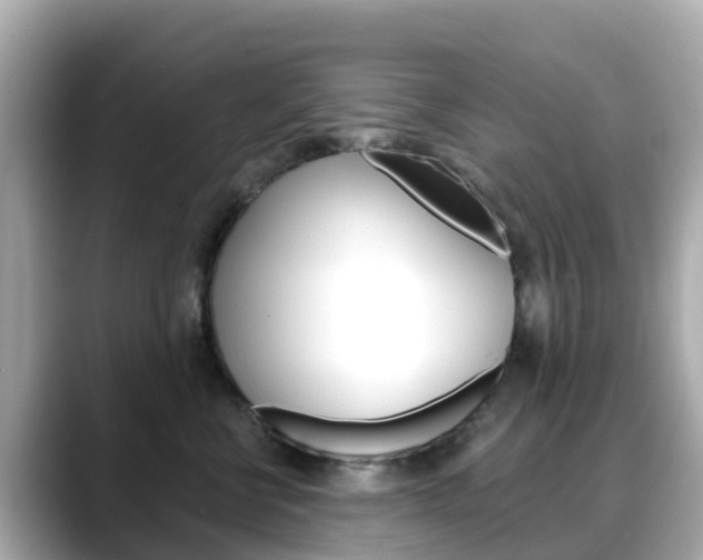 X0000088730570200705311117