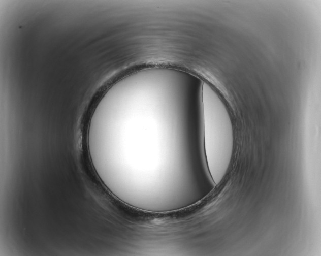 X0000088730584200705311117
