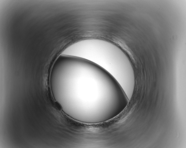 X0000088730585200705311117