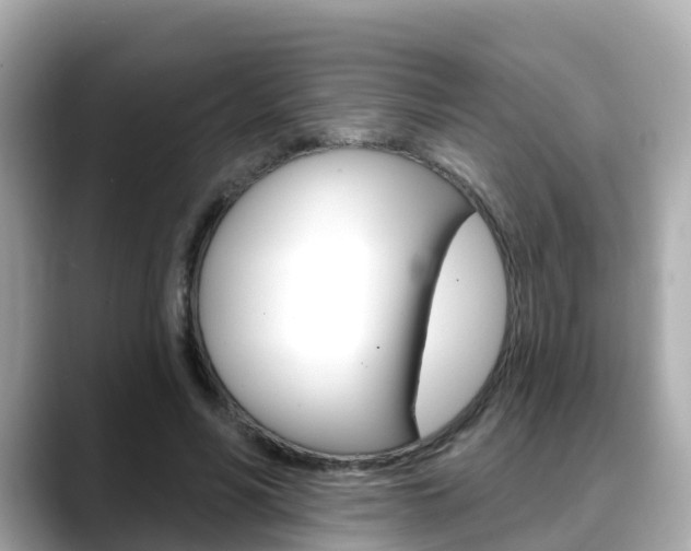 X0000088730590200705311117