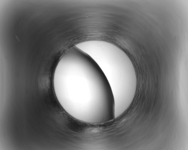 X0000088730595200705311117