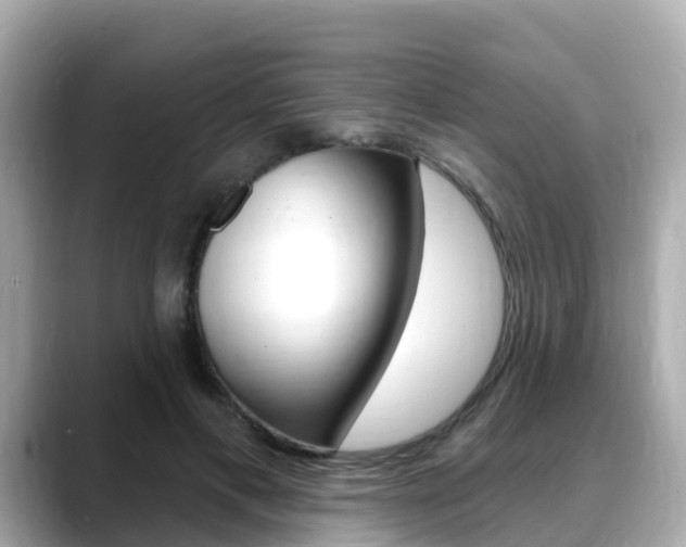X0000088730597200705311117