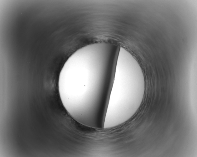 X0000088730608200705311117