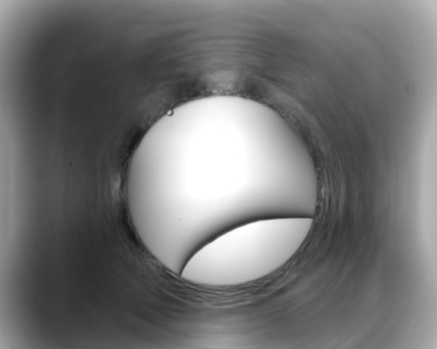 X0000088730610200705311117