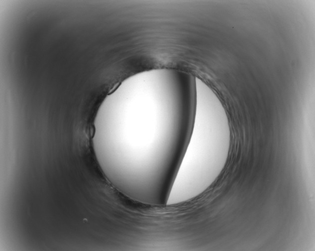 X0000088730613200705311117