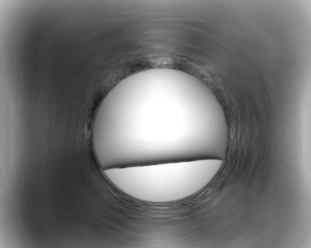 X0000088730614200705311117