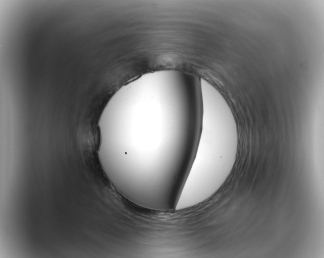X0000088730617200705311117