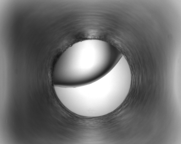 X0000088730620200705311117