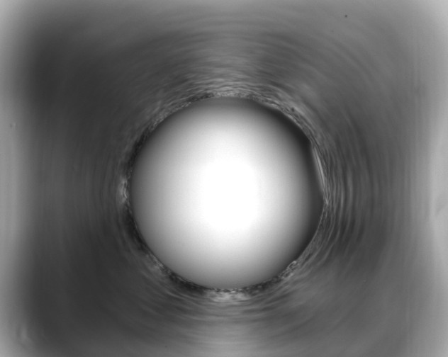 X0000088730621200705311116