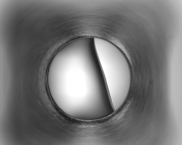 X0000088730625200705311116