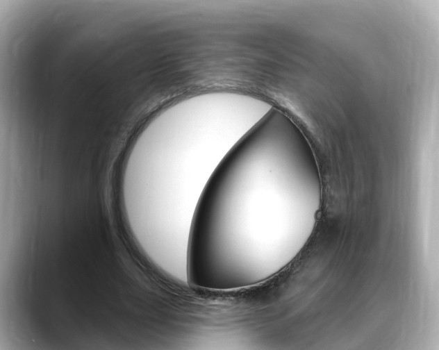 X0000088730631200705311116