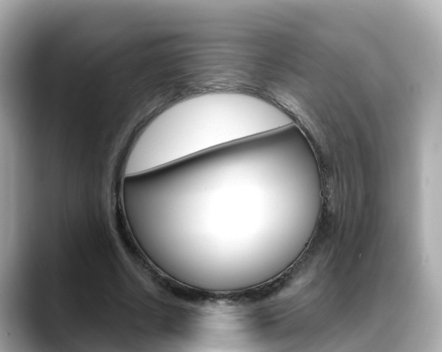 X0000088730634200705311116